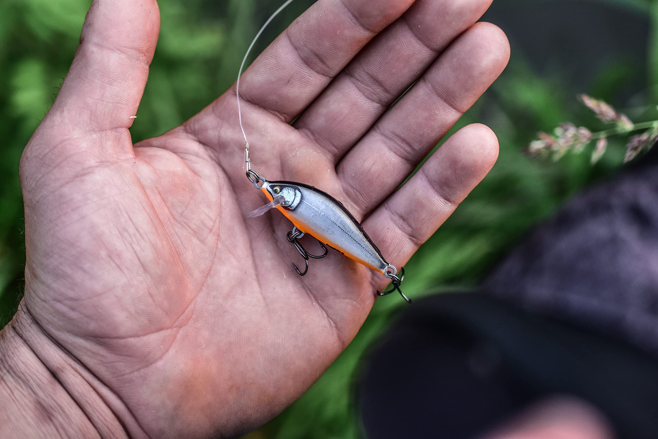 Rapala Countdown Elite 55 Gilded Silver Shad wiggle action captured underwater animation