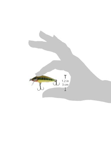Rapala Count Down Elite 55 gilded vairon side view highlights controlled sinking for walleye