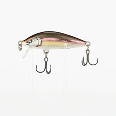 Rapala Countdown Elite 55 Gilded Wakasagi lure in action, showing controlled sinking depth for targeting species.
