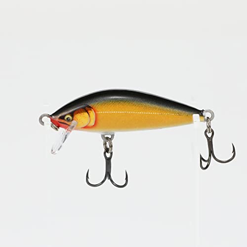 Rapala Countdown Elite 55 running depth 3-4 feet demonstrates controlled sinking for mid-depth targeting.