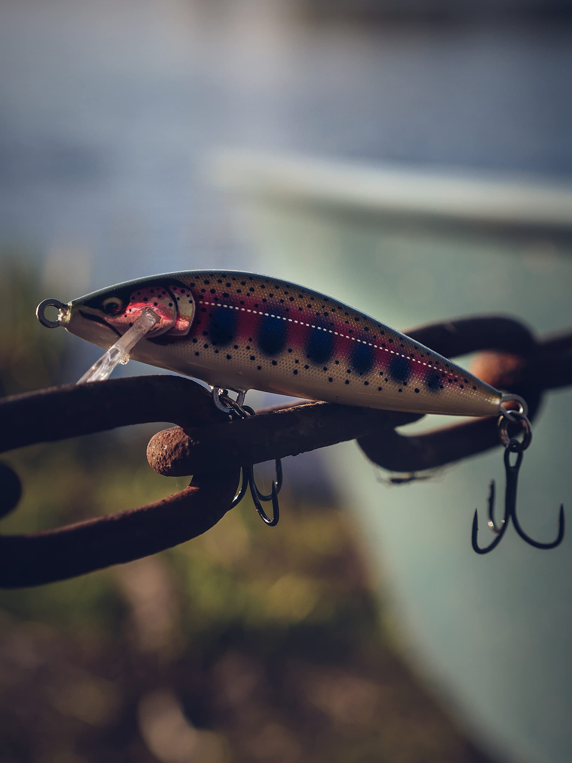 Rapala Count Down Elite Minnow lure sinking action targets precise depths for trout and bass