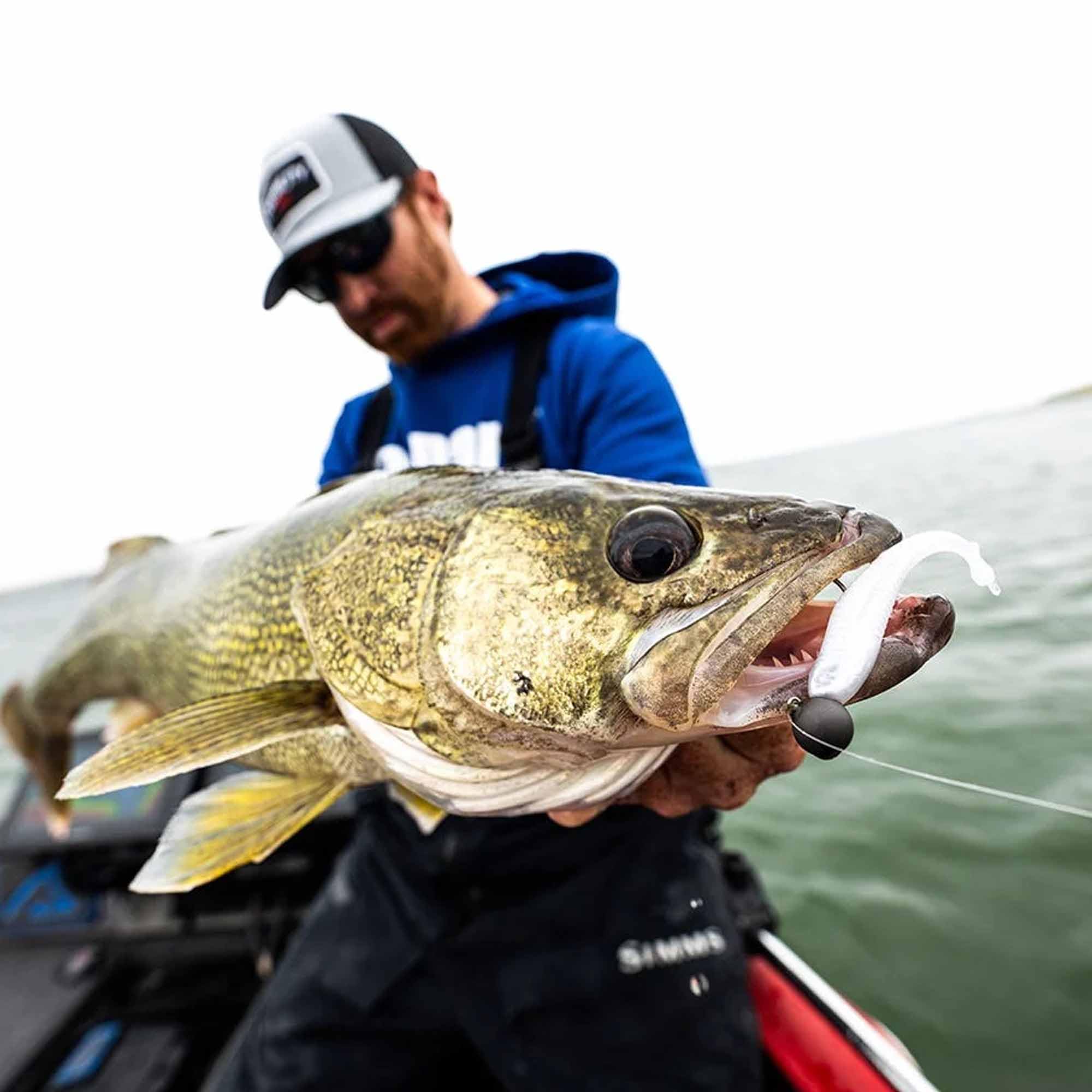 Rapala Crush City Mooch Minnow 3 Perch close-up, highlights finish and detail for realism.