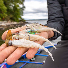 Rapala CrushCity Freeloader swimbait minnow delivering smooth action across speeds