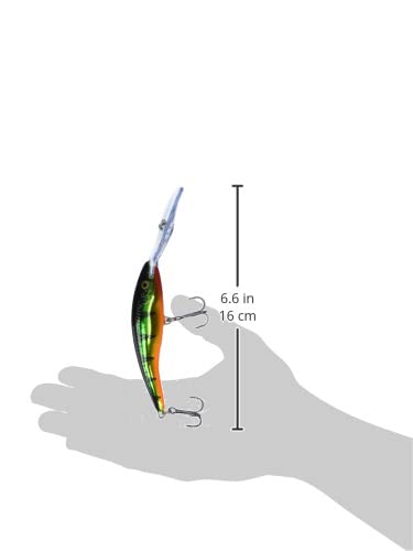 Rapala Deep Tail Dancer 11 Flash Perch ready for out-of-the-box swimming.