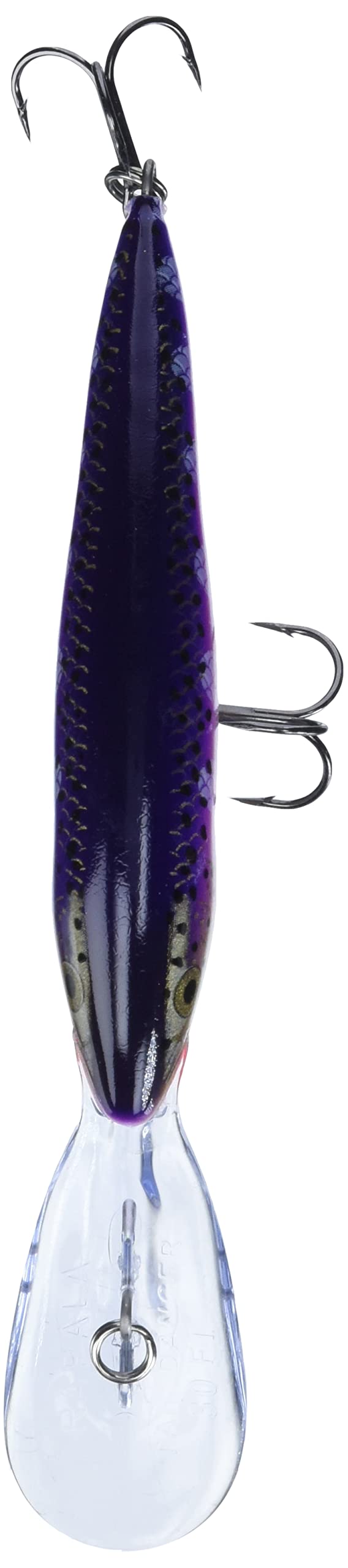 Rapala Deep Tail Dancer 11 Purpledescent lure highlights wide-tail swimming action.