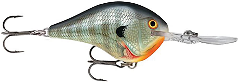 Rapala DT14BG Bluegill diving lure in profile ready for long casts and deep strikes