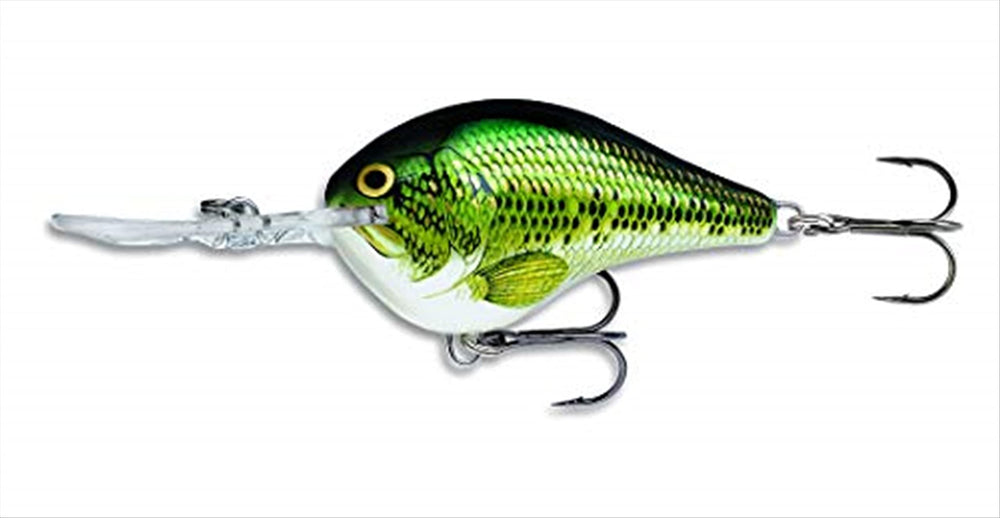 Rapala DT06BB Dives-To 06 Baby Bass lure diving deep with precise action for bass