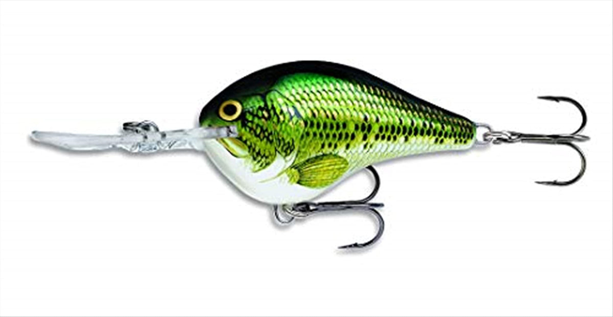 Rapala DT06BB Dives-To 06 Baby Bass lure diving deep with precise action for bass