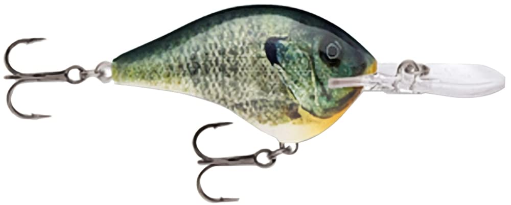 Rapala DT06BGL bluegill lure, front view, lifelike color aids precise casting.