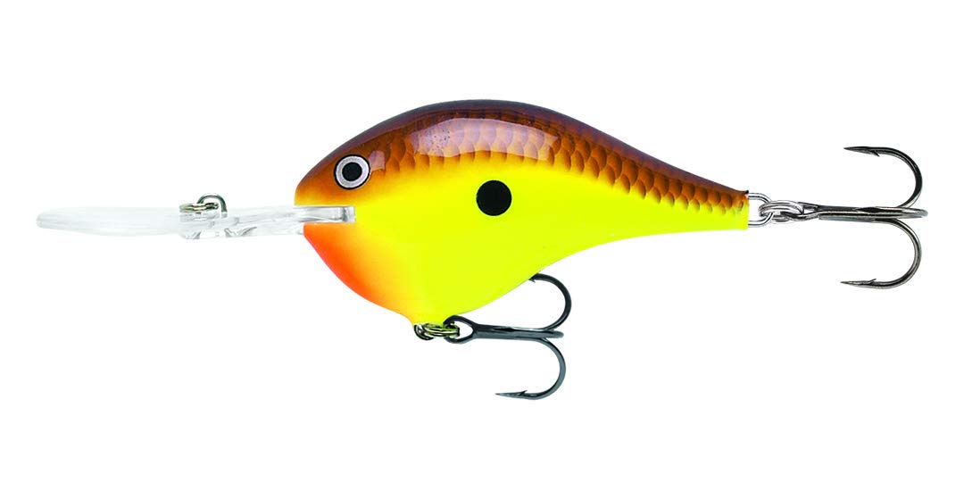 Rapala DT06CTB front view shows chartreuse brown visibility for bass