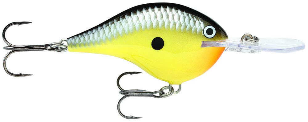 Rapala DT06OLSL Custom Ink Lure front view showing muted colors for lifelike stealth