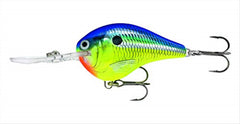 Rapala DT06PRT Dives-To Parrot lure, designed for long casts and deep-reaching action.
