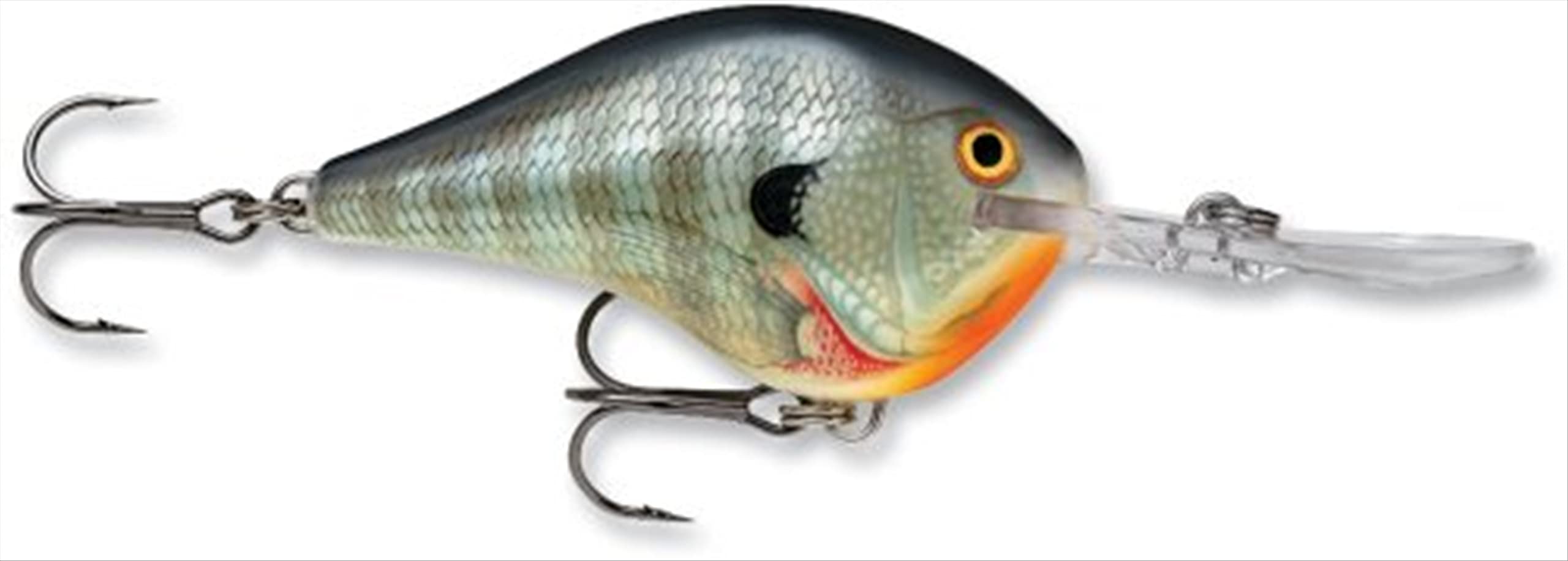 Rapala DT10BG Bluegill dive-to crankbait for fast retrieves near structure