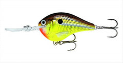 Rapala DT10HM Hot Mustard crankbait in action, dives fast to reach the strike zone.