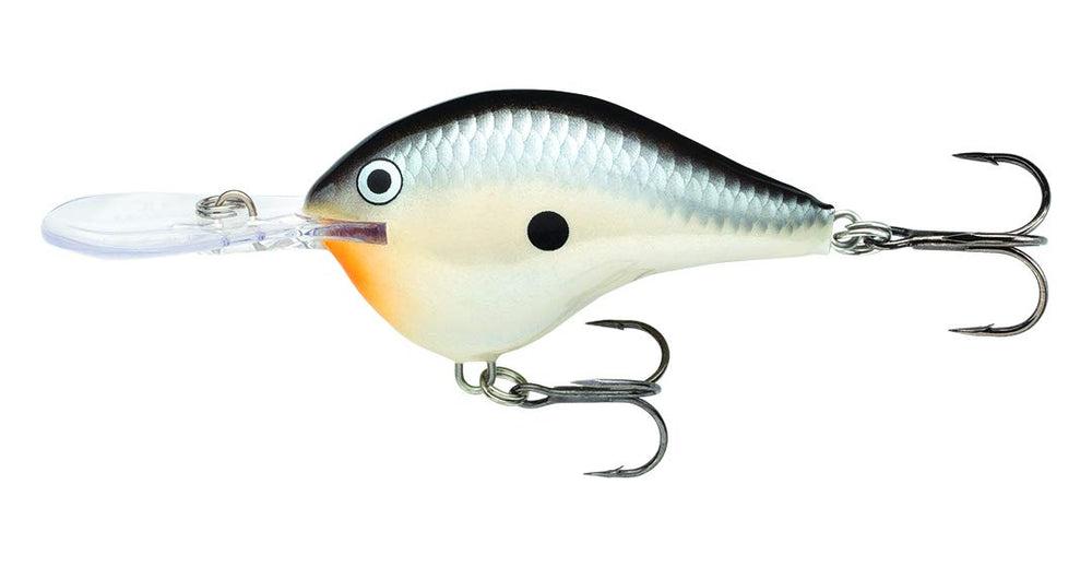 Rapala DT14 Penguin lure with dives-to-14 action for precise casting and bass targeting