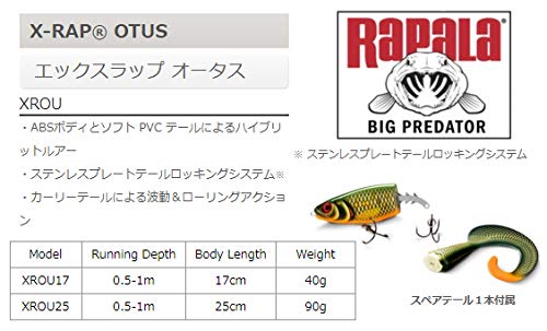 Rapala HTIP Otus 6.7in lure sinking action shown for pike targeting.