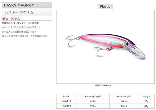 Rapala Husky Magnum 25 fishing hook close-up showing sturdy construction for reliable hook-ups