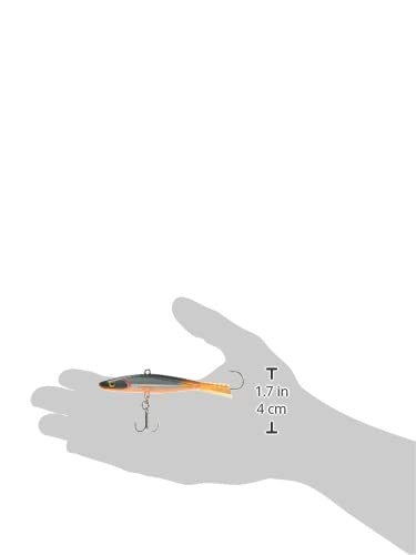 Rapala Jigging Shadow Rap 09 Halloween color pattern close-up reveals reflective finish