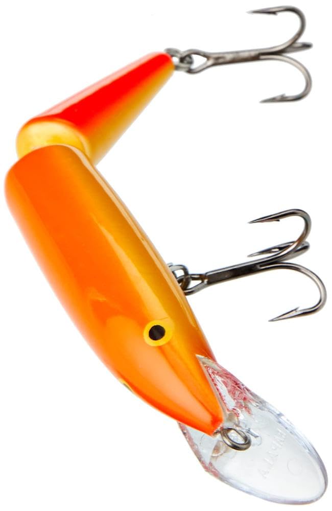Rapala Jointed 13 GFR lure color detail highlights gold body and red fluorescence.