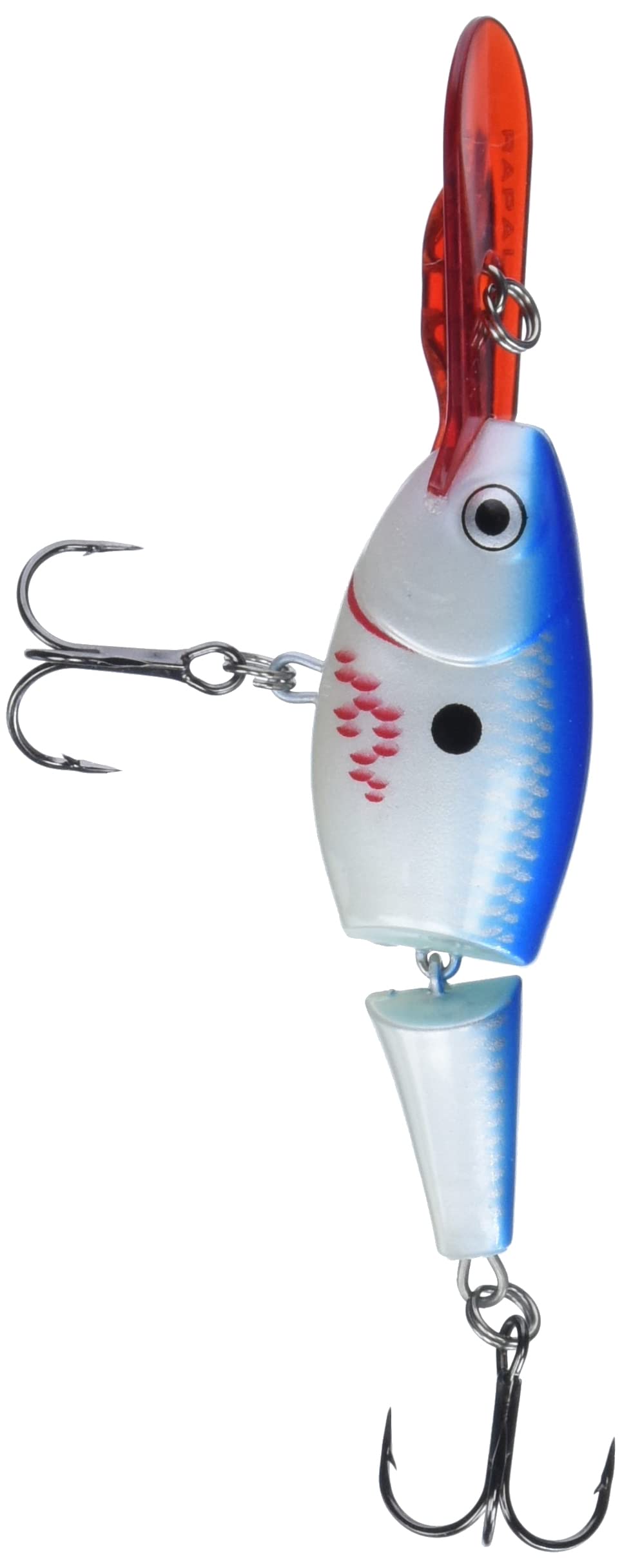 Rapala Jointed Shad Rap 07 Bleeding Blue Shad, front view showing lifelike lure action.
