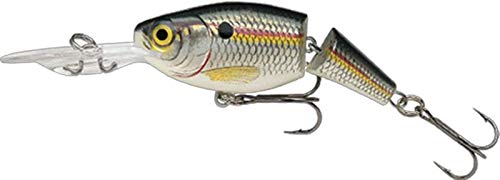 Rapala Jointed Shad Rap Curls tail-twitch lure sparks aggressive strikes.