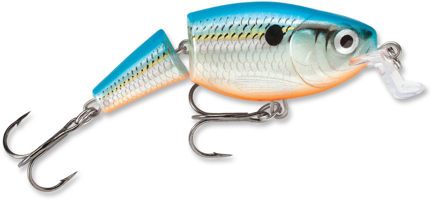 Rapala Jointed Shallow Shad Rap 07 Blue Shad showing lifelike wobble for shallow-water bass