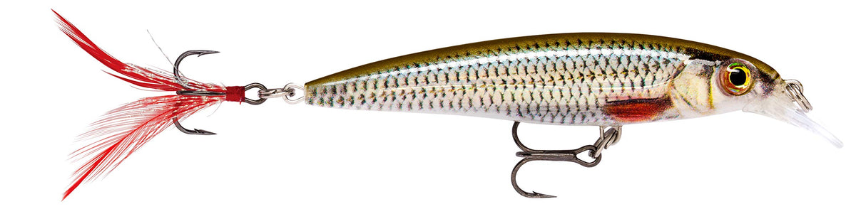Rapala Live Roach X-Rap lure textured body enhances lifelike presentation in shallow water.