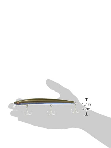 Rapala MaxRap lure pond-tested and ready for sea fishing.