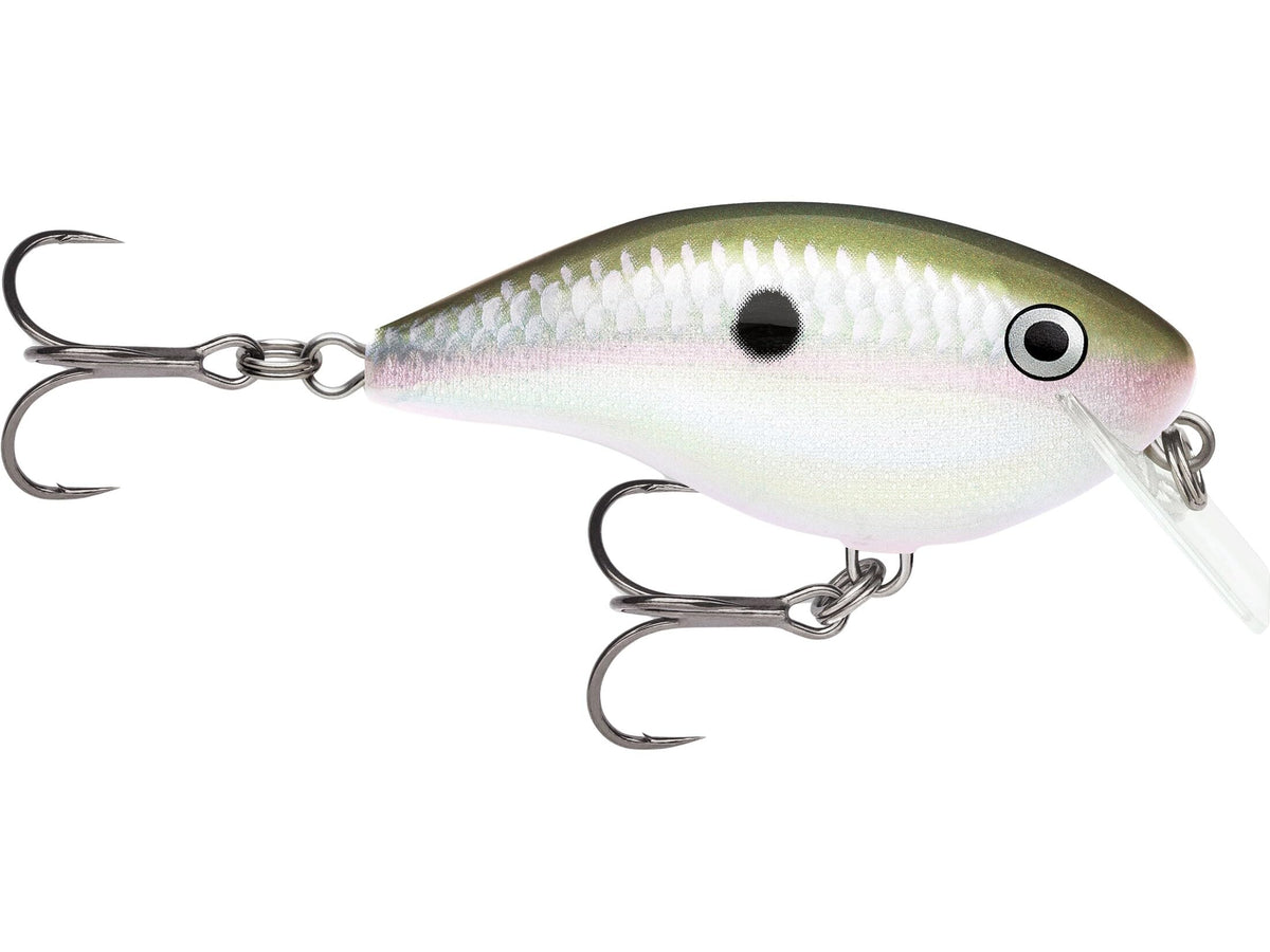Rapala Ott's Garage Big Rocco crankbait in Green Gizzard Shad for bass and multi-species fishing