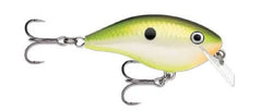 Rapala Otts Garage Rocco crankbait Bruised Citrus Shad for shallow water bass fishing