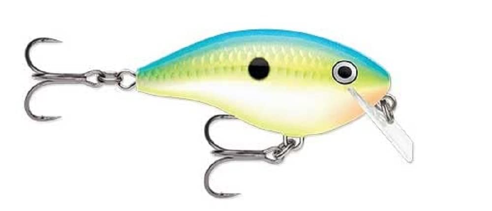 Rapala Ott's Garage Rocco crankbait Citrus Shad delivers lifelike action for shallow-water bass.