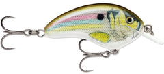 Rapala Ott's Garage Tiny 04 Live River Shad in action, ideal for precise river jigging.