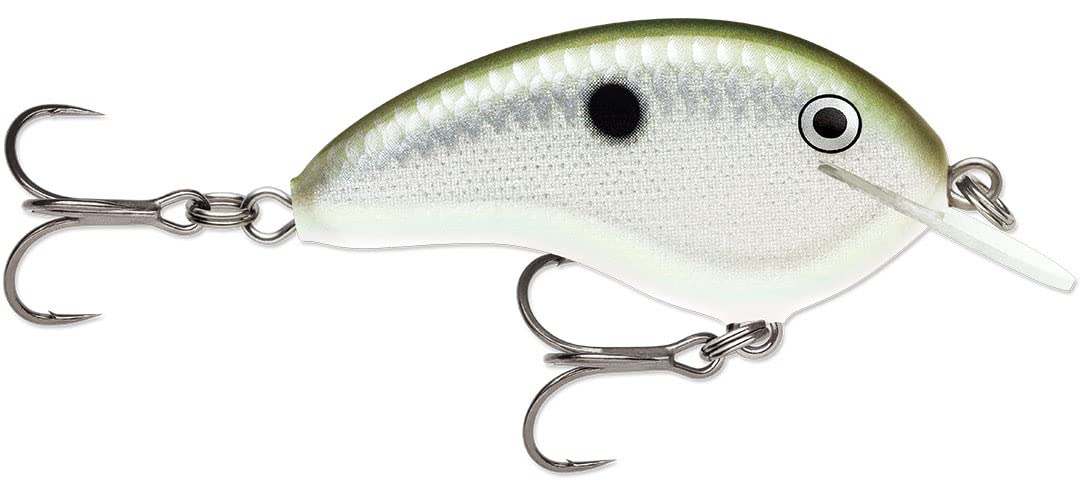 Rapala Ott's Garage Tiny Crankbait in Green Gizzard Shad for finesse bass fishing.