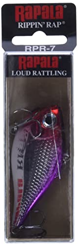 Rapala Rippin' Rap 07 Purple Clown lure side view highlights bold color for visibility.
