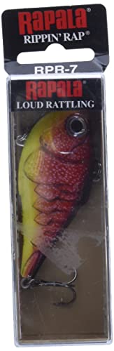 Close-up of Rapala Rippin' Rap action and flash in Redfire Crawdad color.