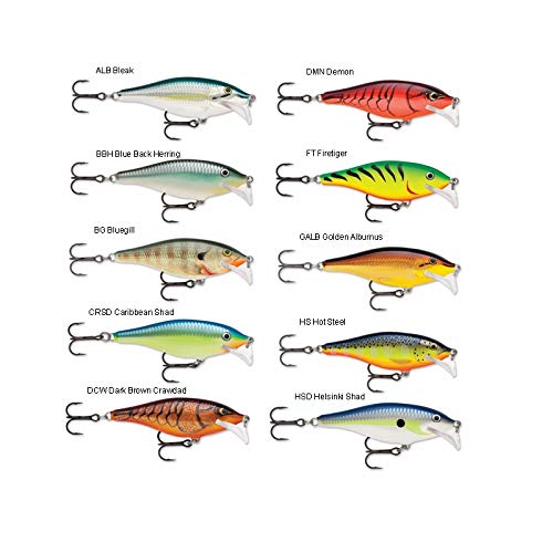 Rapala Scatter Rap Shad Deep 07 Blue Back Herring lure close-up eye stressing durable construction