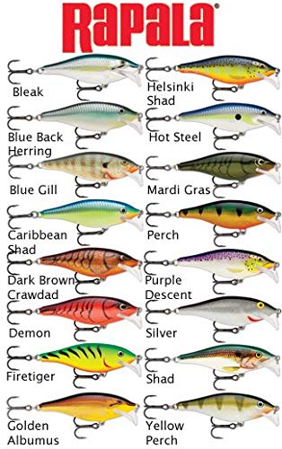 Rapala Scatter Rap Shad Deep 07 Blue Back Herring lure underwater action demonstrating its spinning backward look