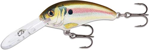 Rapala SDD05RSL close-up reveals detailed construction and realistic finish for confident casting