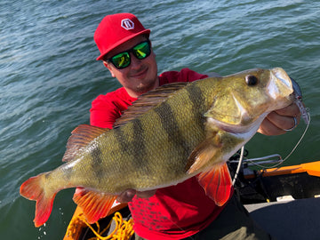 Floating lure with heavy-duty wire for durable bass setups.