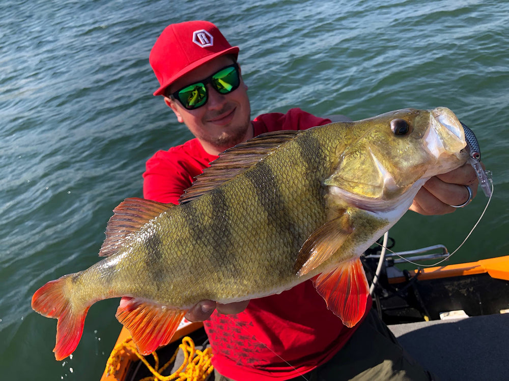 Floating lure with heavy-duty wire for durable bass setups.