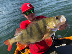 Floating lure with heavy-duty wire for durable bass setups.
