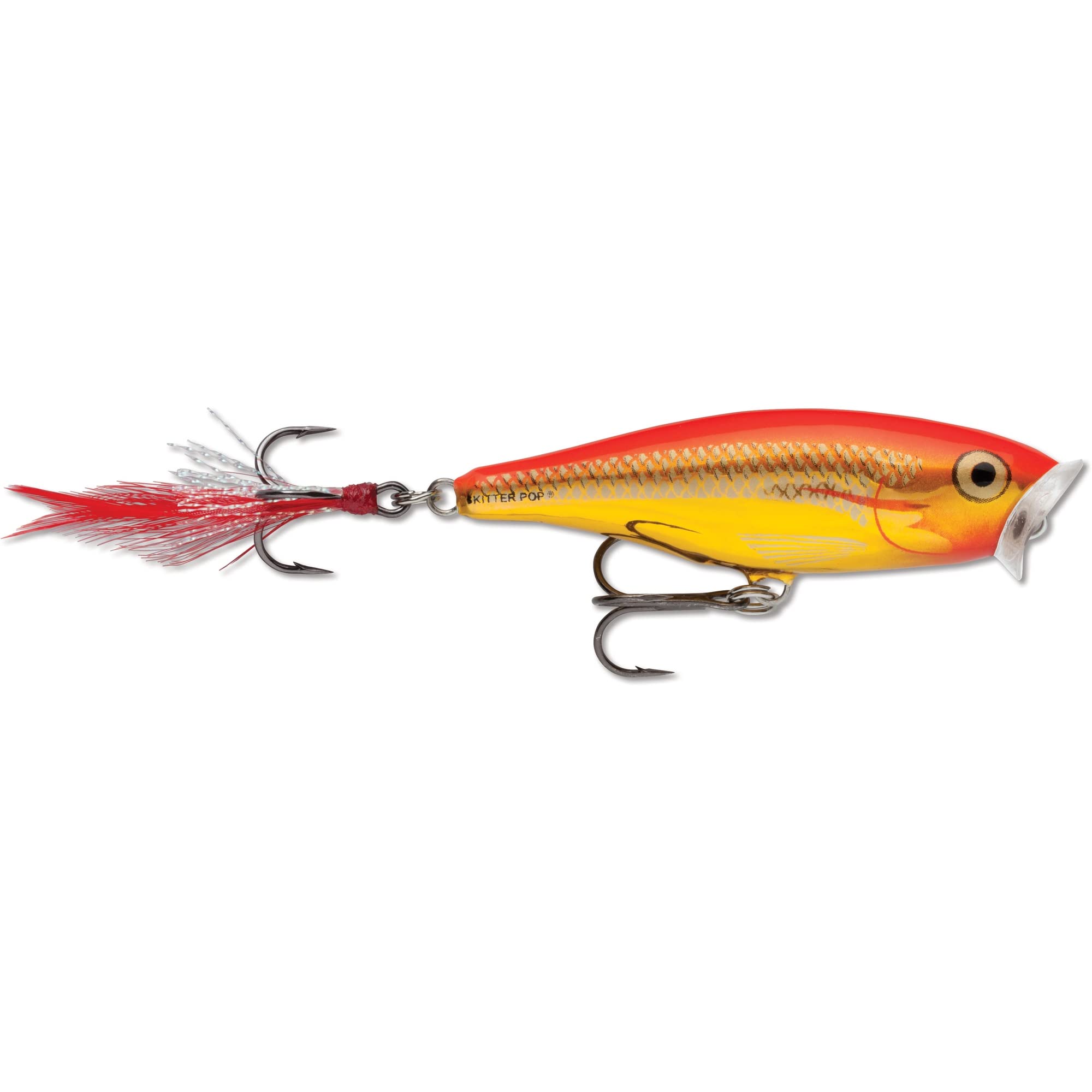 Rapala SGFR SP5-SGFR popper in Chrome Akakin shines on topwater for bass bites