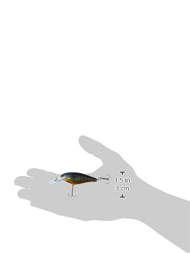Rapala Shad Rap 05 Live Pumpkinseed in-water display captures realistic movement.