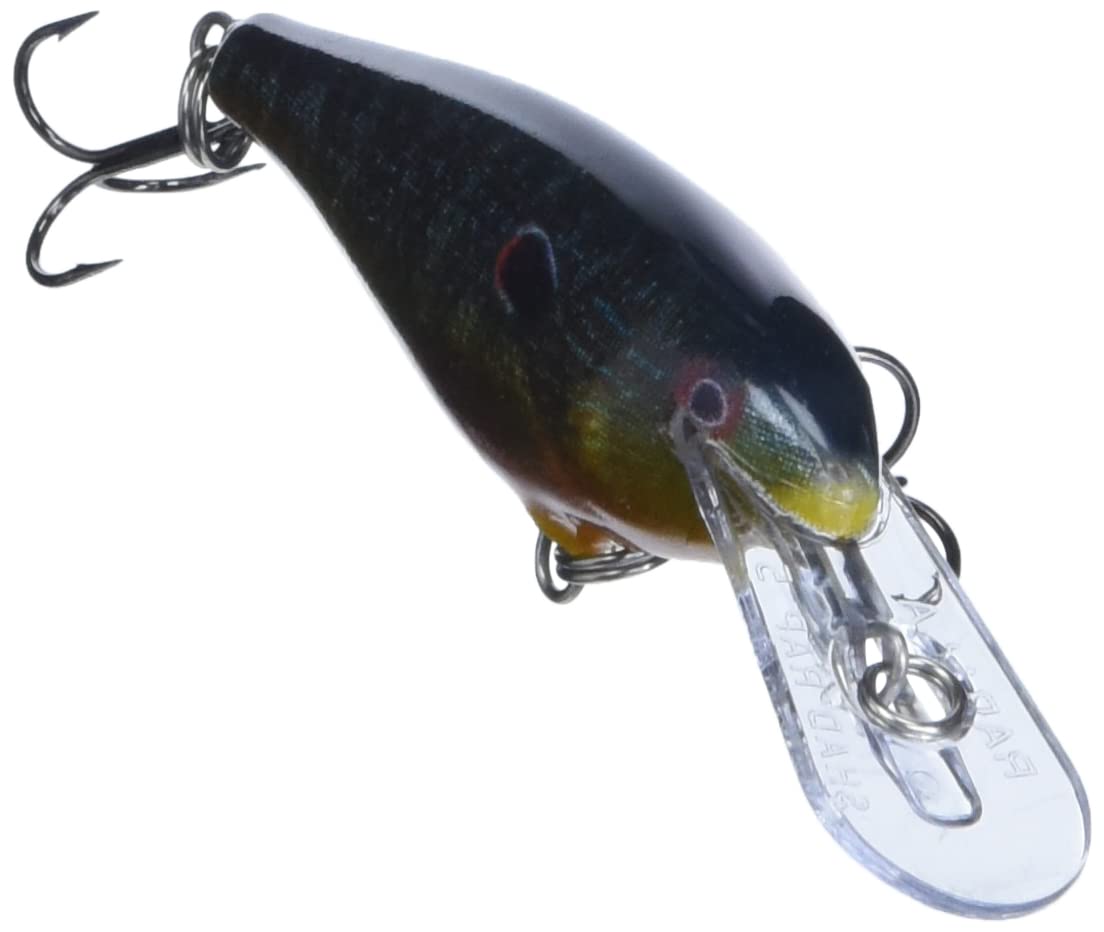 Rapala Shad Rap 05 Live Pumpkinseed packaging highlights authentic quality and build.