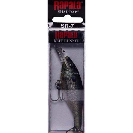 Rapala Shad Rap 07 Live Bluegill lure head-down design for slow fade in water.