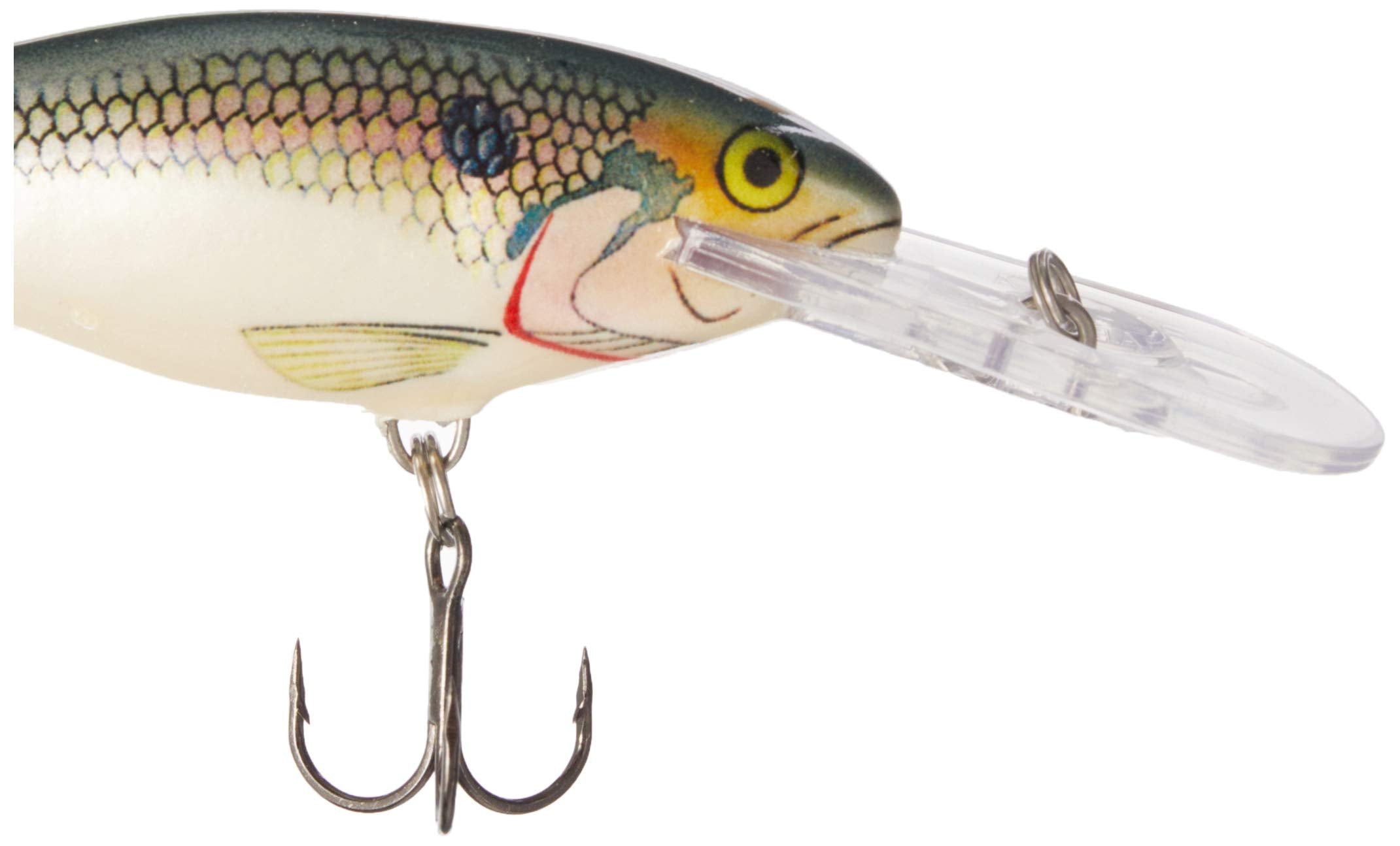 Rapala Shad Rap 07 in-water action highlights wounded-minnow movement for enticing strikes.