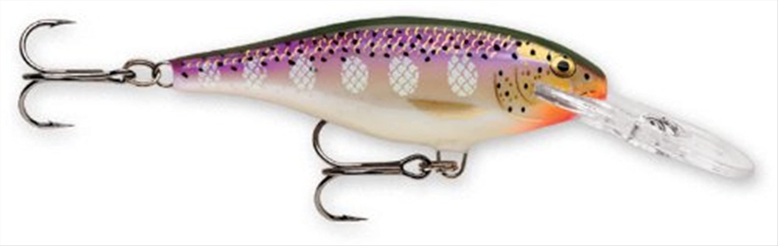 Rapala Shad Rap 08 Purpledescent lure ready for casting and trolling.