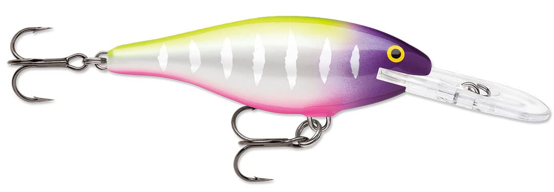 Rapala Shad Rap Moldy Fruit crankbait lure ready for multi-species fishing