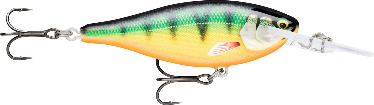 Rapala Shad Rap Elite gilded perch lure with premium finish for multi-species appeal