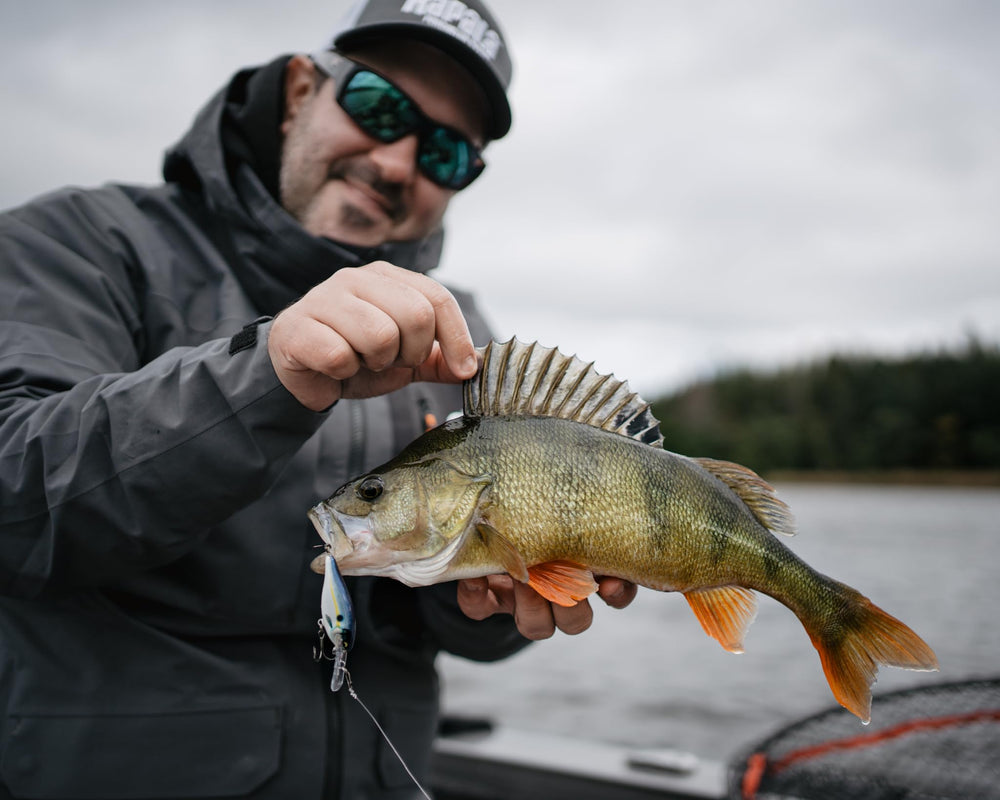 Rapala Shad Rap Elite ideal for casting and trolling in diverse waters